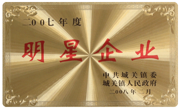 2007明星企业